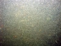 Image of seabed - photo.