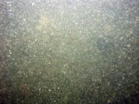 Image of seabed - photo.