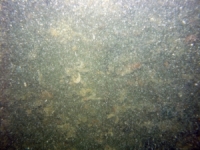 Image of seabed - photo.