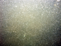 Image of seabed - photo.