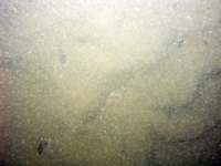 Image of seabed - photo.