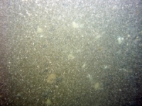 Image of seabed - photo.