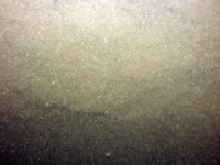 Image of seabed - photo.