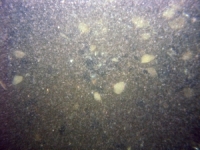 Image of seabed - photo.