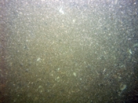 Image of seabed - photo.