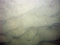 Image of seabed - photo.