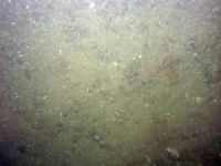 Image of seabed - photo.