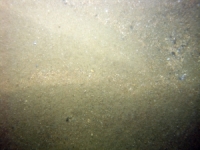 Image of seabed - photo.