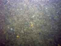 Image of seabed - photo.