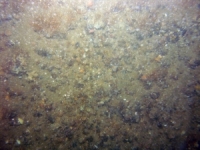 Image of seabed - photo.