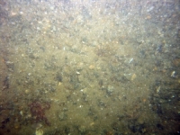 Image of seabed - photo.