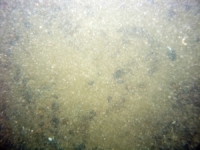 Image of seabed - photo.