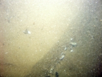 Image of seabed - photo.