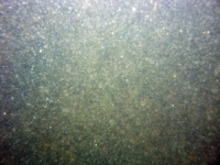 Image of seabed - photo.