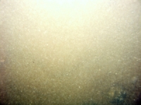 Image of seabed - photo.