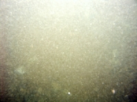 Image of seabed - photo.