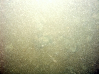 Image of seabed - photo.