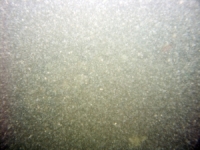 Image of seabed - photo.