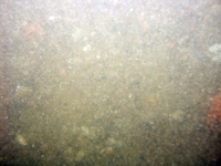 Image of seabed - photo.