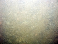 Image of seabed - photo.