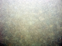 Image of seabed - photo.