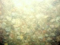 Image of seabed - photo.