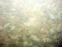 Image of seabed - photo.