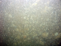 Image of seabed - photo.