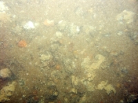 Image of seabed - photo.