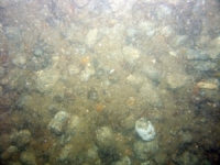 Image of seabed - photo.