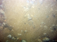 Image of seabed - photo.