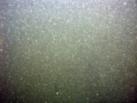 Image of seabed - photo.