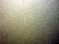 Image of seabed - photo.