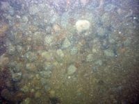 Image of seabed - photo.