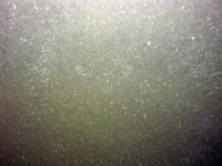 Image of seabed - photo.