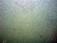 Image of seabed - photo.