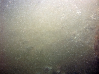 Image of seabed - photo.