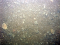 Image of seabed - photo.