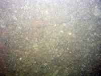 Image of seabed - photo.