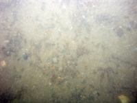 Image of seabed - photo.