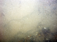 Image of seabed - photo.