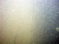 Image of seabed - photo.