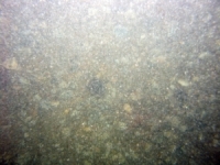 Image of seabed - photo.