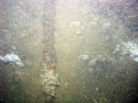 Image of seabed - photo.