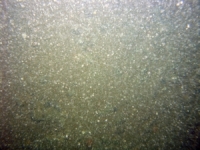 Image of seabed - photo.