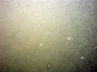 Image of seabed - photo.