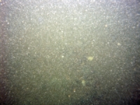 Image of seabed - photo.