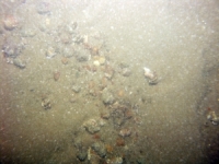 Image of seabed - photo.