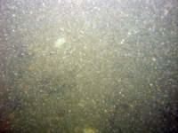 Image of seabed - photo.