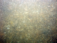 Image of seabed - photo.